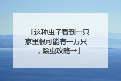 这种虫子看到一只家里很可能有一万只，除虫攻略→
