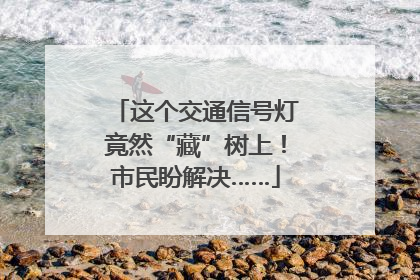 这个交通信号灯竟然“藏”树上！市民盼解决……