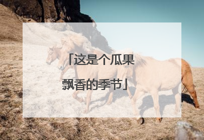 这是个瓜果飘香的季节