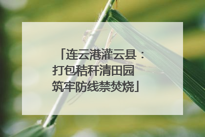 连云港灌云县：打包秸秆清田园 筑牢防线禁焚烧