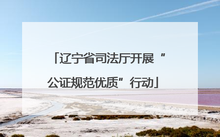 辽宁省司法厅开展“公证规范优质”行动