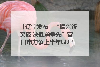 辽宁发布｜“振兴新突破 决胜勇争先”营口市力争上半年GDP增长6%左右