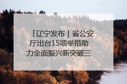 辽宁发布｜省公安厅出台15项举措助力全面振兴新突破三年行动决胜之战