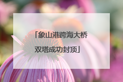 象山港跨海大桥双塔成功封顶