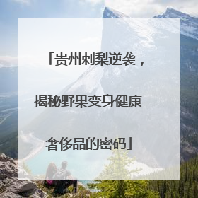 贵州刺梨逆袭，揭秘野果变身健康奢侈品的密码