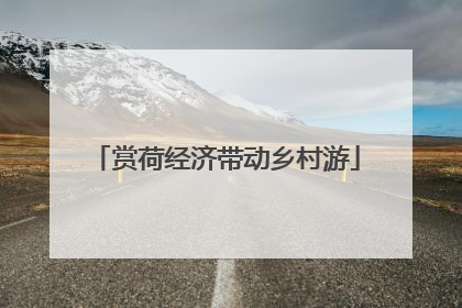 赏荷经济带动乡村游
