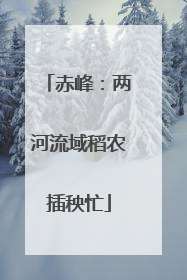 赤峰：两河流域稻农插秧忙