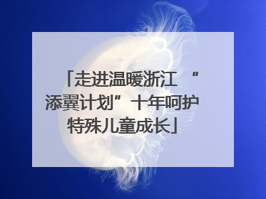 走进温暖浙江 “添翼计划”十年呵护特殊儿童成长