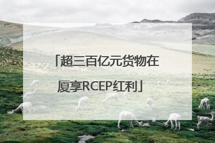 超三百亿元货物在厦享RCEP红利