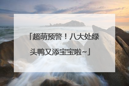超萌预警！八大处绿头鸭又添宝宝啦~