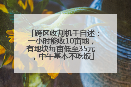 跨区收割机手自述：一小时能收10亩地，有地块每亩低至35元，中午基本不吃饭