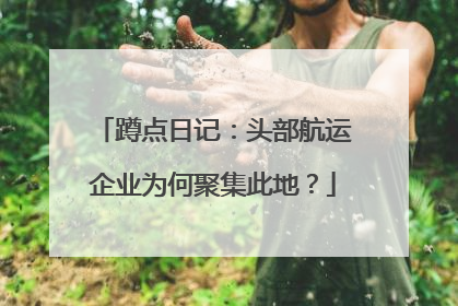蹲点日记：头部航运企业为何聚集此地？