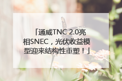 通威TNC 2.0亮相SNEC，光伏收益模型迎来结构性重塑！