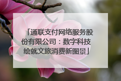 通联支付网络服务股份有限公司：数字科技绘就文旅消费新图景