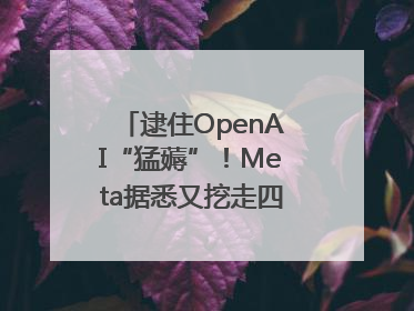 逮住OpenAI“猛薅”！Meta据悉又挖走四位知名研究人员