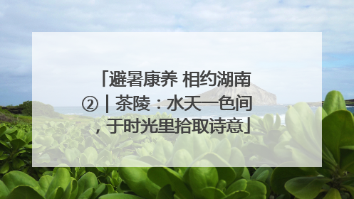 避暑康养 相约湖南②｜茶陵：水天一色间，于时光里拾取诗意