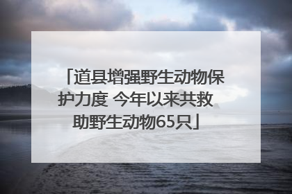 道县增强野生动物保护力度 今年以来共救助野生动物65只