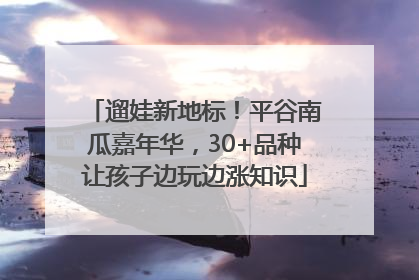 遛娃新地标！平谷南瓜嘉年华，30+品种让孩子边玩边涨知识