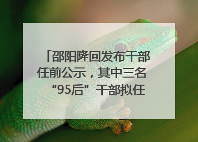 邵阳隆回发布干部任前公示，其中三名“95后”干部拟任副科级领导，均系硕士选调生