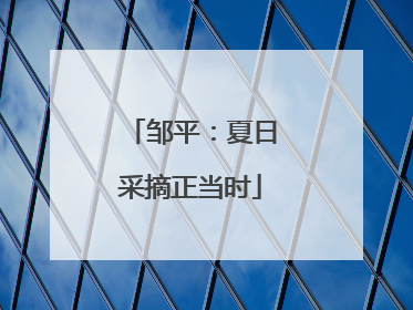 邹平：夏日采摘正当时
