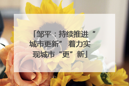 邹平：持续推进“城市更新” 着力实现城市“更”新