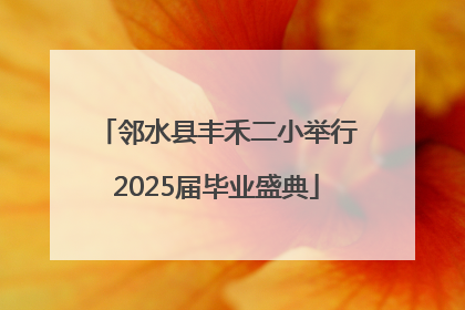 邻水县丰禾二小举行2025届毕业盛典