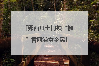 郧西县土门镇“椒”香四溢富乡民