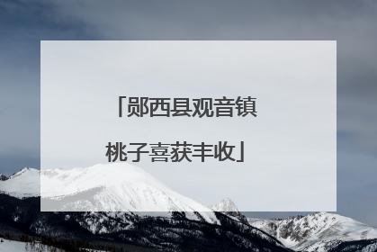 郧西县观音镇桃子喜获丰收