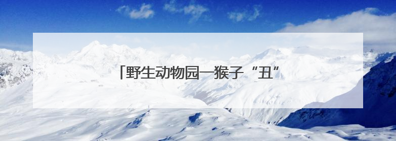 野生动物园一猴子“丑”出圈，当地保育员回应