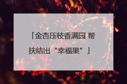 金杏压枝香满园 帮扶结出“幸福果”