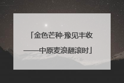 金色芒种·豫见丰收——中原麦浪翻滚时