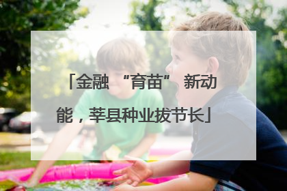 金融 “育苗” 新动能，莘县种业拔节长