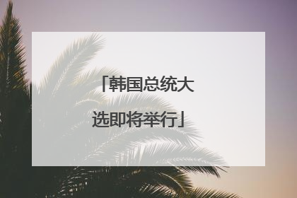 韩国总统大选即将举行