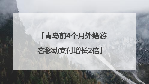 青岛前4个月外籍游客移动支付增长2倍