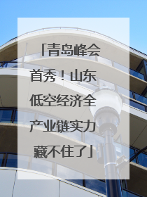 青岛峰会首秀！山东低空经济全产业链实力藏不住了