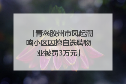 青岛胶州市凤起潮鸣小区因擅自选聘物业被罚3万元