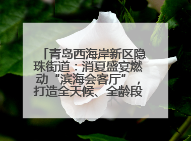 青岛西海岸新区隐珠街道：消夏盛宴燃动“滨海会客厅”，打造全天候、全龄段消费生态圈