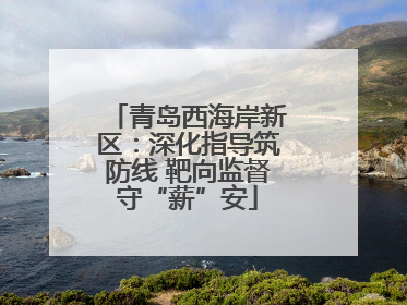 青岛西海岸新区：深化指导筑防线 靶向监督守“薪”安