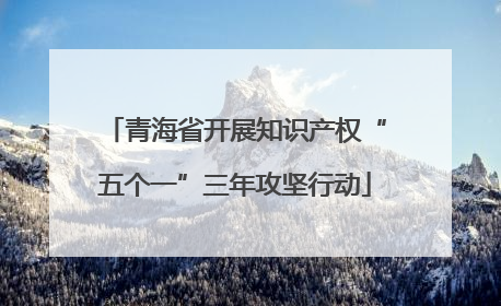 青海省开展知识产权“五个一”三年攻坚行动