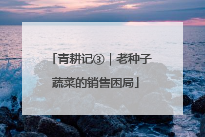 青耕记③｜老种子蔬菜的销售困局