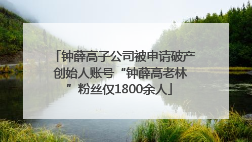 钟薛高子公司被申请破产 创始人账号“钟薛高老林”粉丝仅1800余人