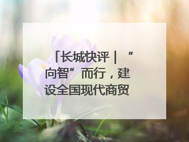 长城快评｜“向智”而行，建设全国现代商贸物流重要基地