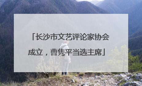 长沙市文艺评论家协会成立，曹隽平当选主席