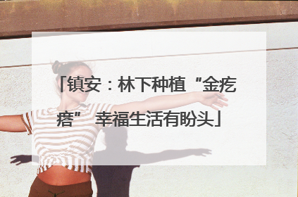 镇安：林下种植“金疙瘩” 幸福生活有盼头