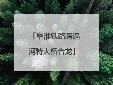 阜淮铁路跨涡河特大桥合龙