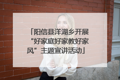 阳信县洋湖乡开展“好家庭好家教好家风”主题宣讲活动