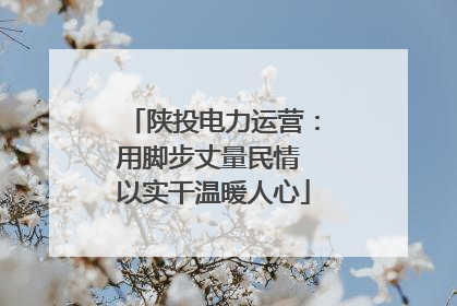 陕投电力运营：用脚步丈量民情 以实干温暖人心