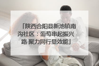 陕西合阳县新池镇南沟社区：葡萄串起振兴路 聚力同行显效能