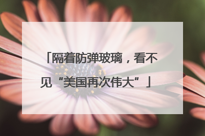 隔着防弹玻璃，看不见“美国再次伟大”
