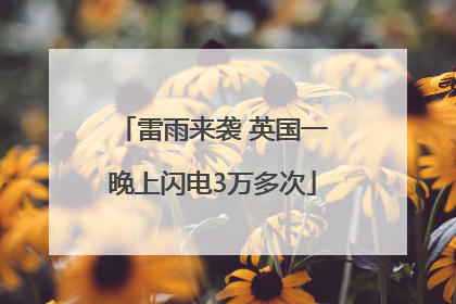 雷雨来袭 英国一晚上闪电3万多次